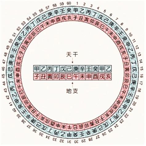 1987天干地支|1987年11月26日是什么天干地支，六十甲子干支查询农历一九八。